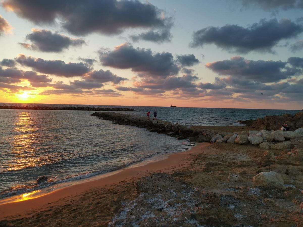 103 Regina Gardens Leilighet Paphos Eksteriør bilde