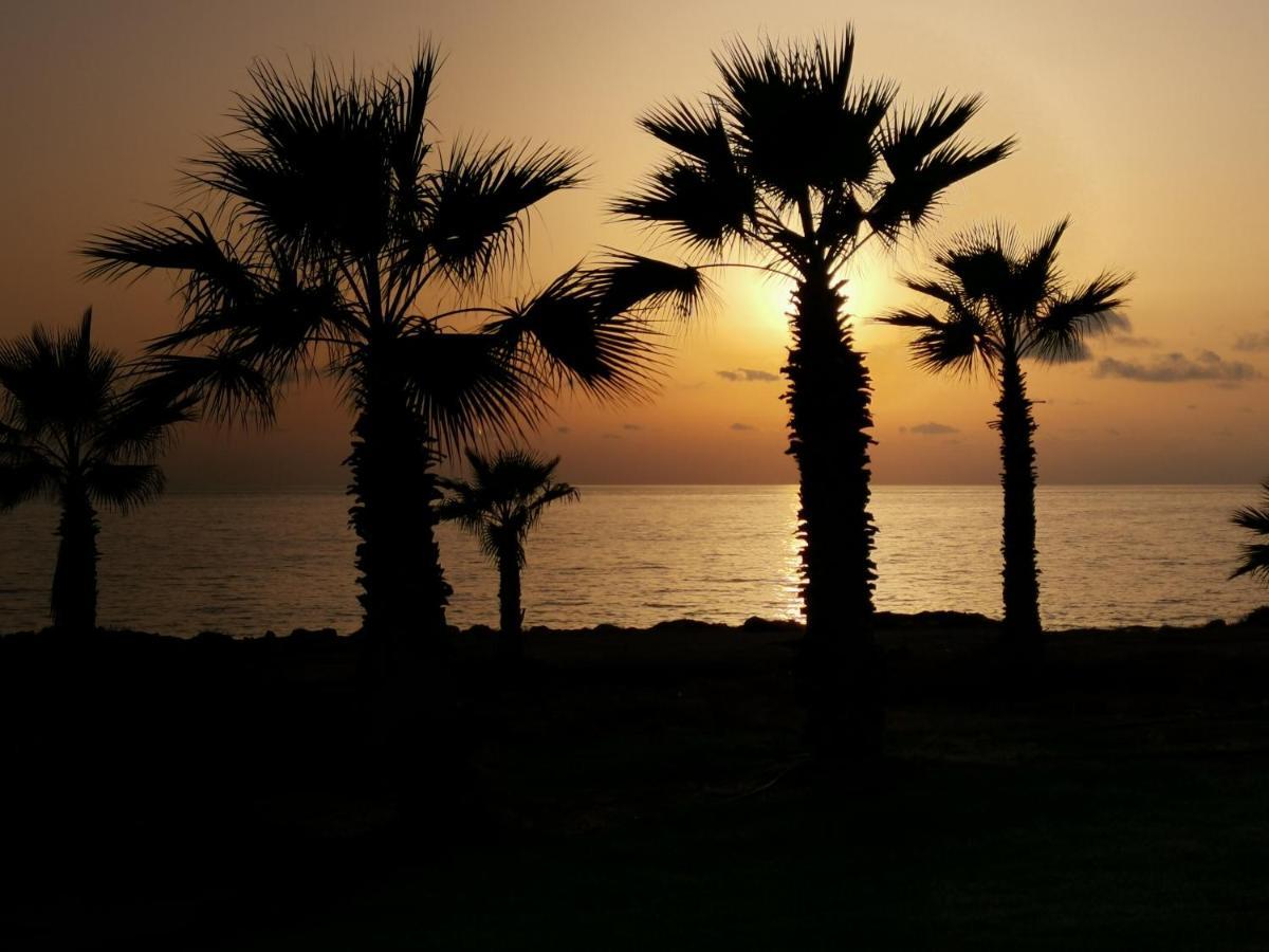 103 Regina Gardens Leilighet Paphos Eksteriør bilde