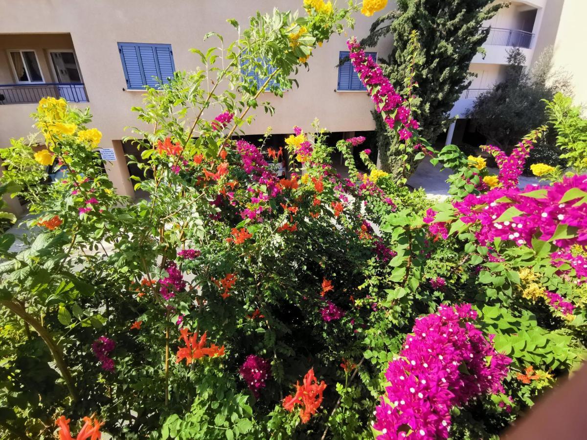 103 Regina Gardens Leilighet Paphos Eksteriør bilde